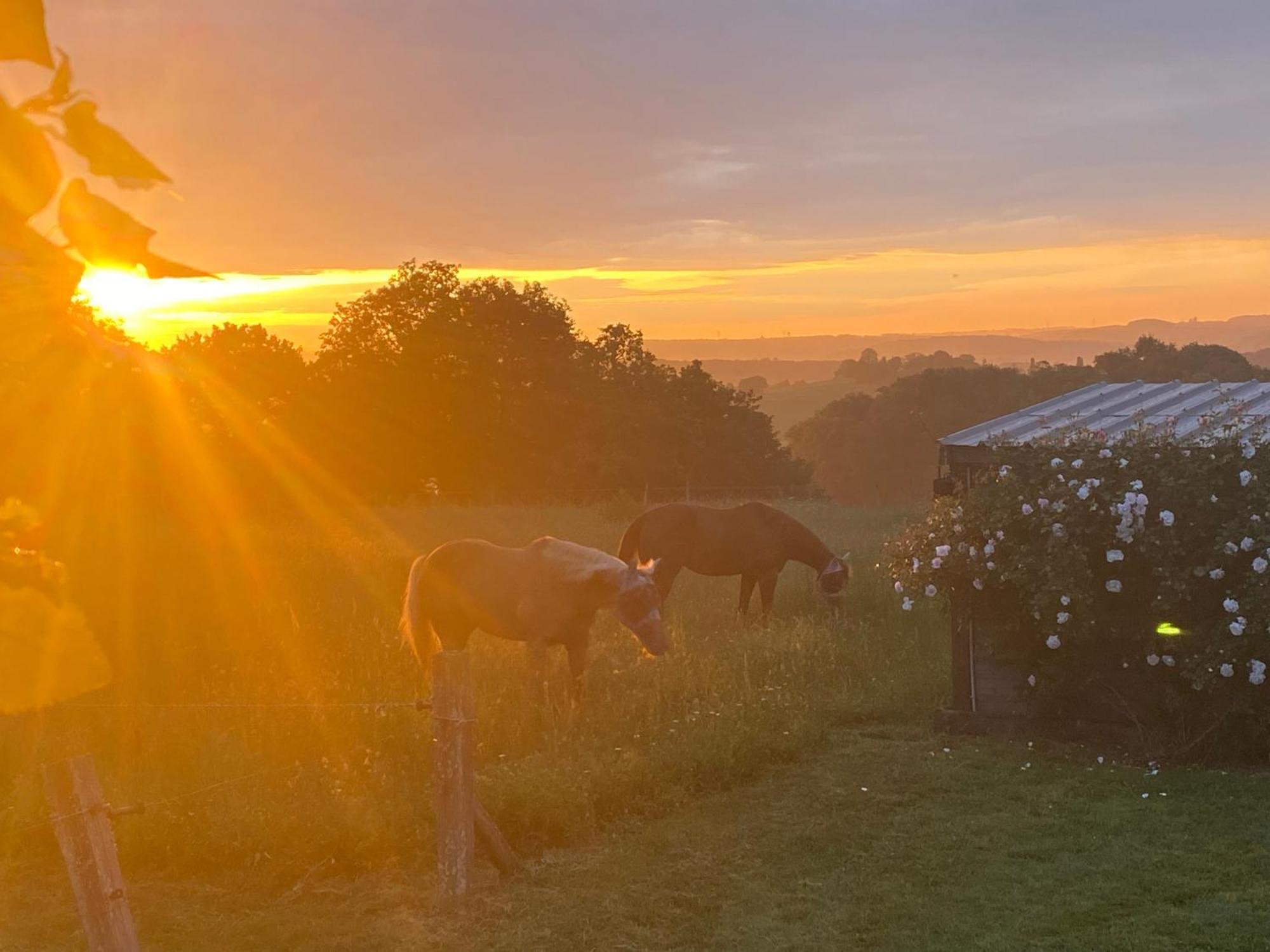 Logement Entier De Charme, Gite Equestre Gers Flamarens Extérieur photo