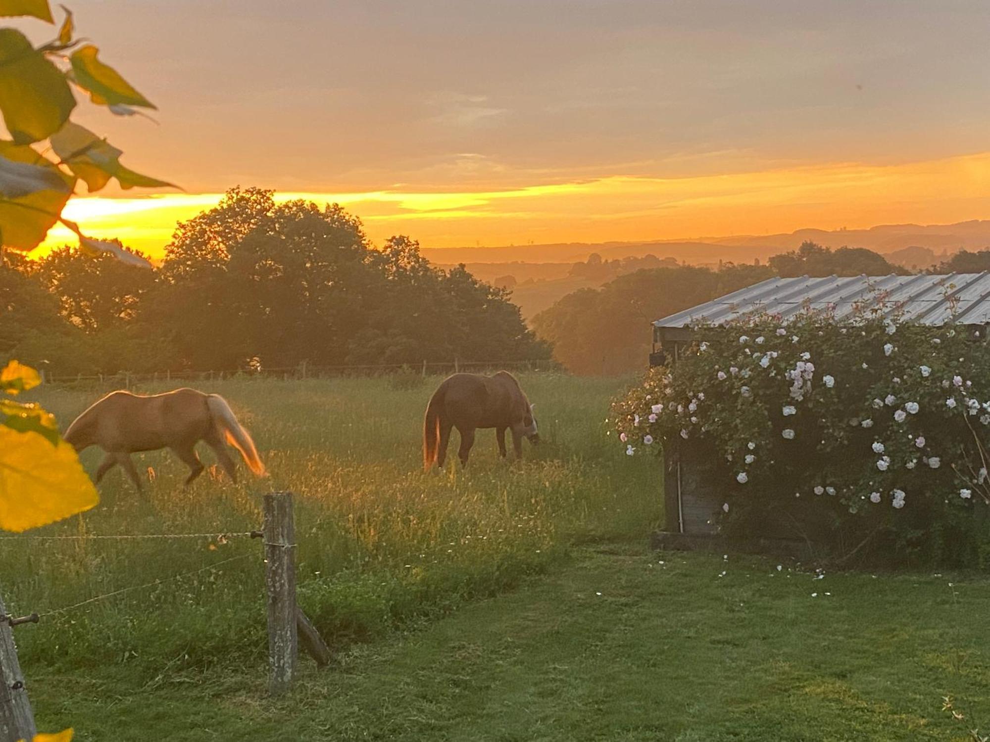 Logement Entier De Charme, Gite Equestre Gers Flamarens Extérieur photo
