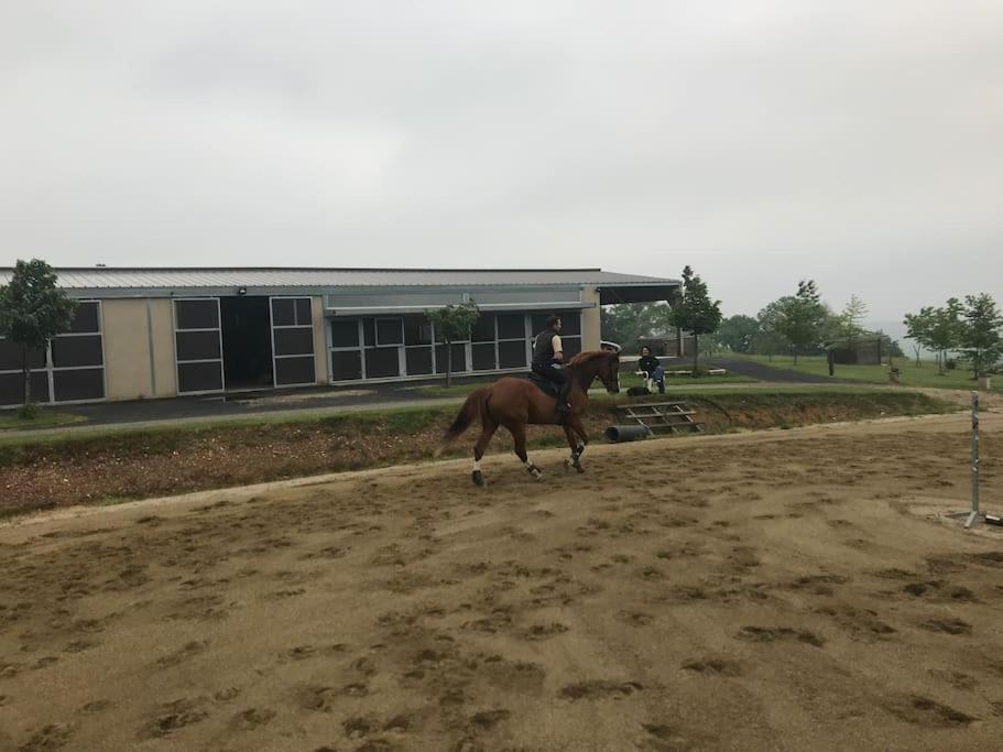 Logement Entier De Charme, Gite Equestre Gers Flamarens Extérieur photo