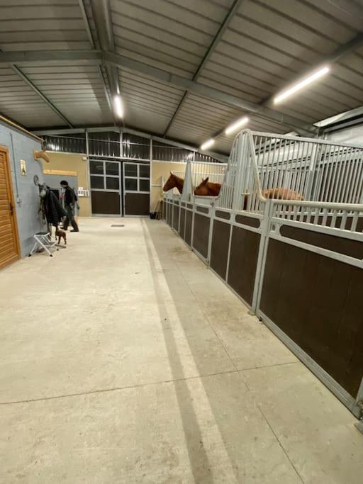 Logement Entier De Charme, Gite Equestre Gers Flamarens Extérieur photo