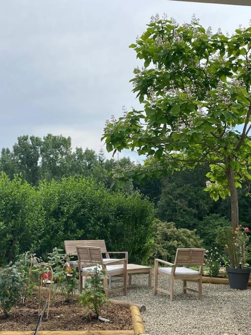 Logement Entier De Charme, Gite Equestre Gers Flamarens Extérieur photo